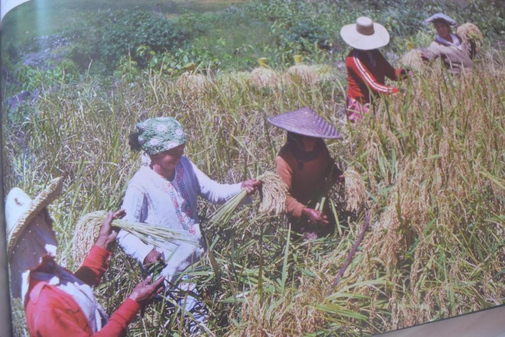 Banaue Evergreen Hostel And Restaurant Luaran gambar